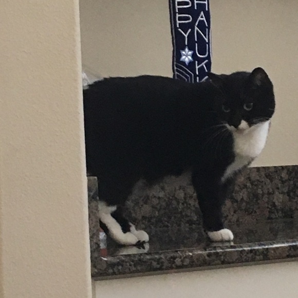 Meet your Posher, Chel - Picture 6 of 7